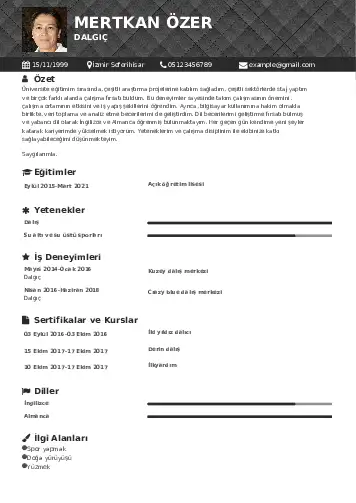 Dalgıç CV Örnekleri cv indir
